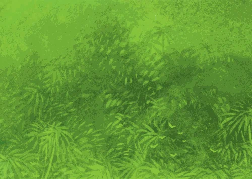 Missing card background image