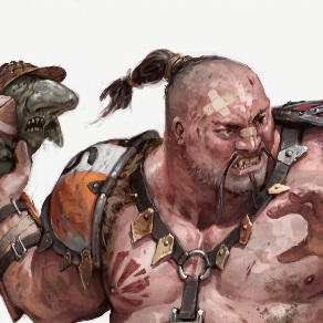 No matching image available.