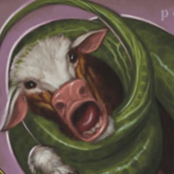 No matching image available.