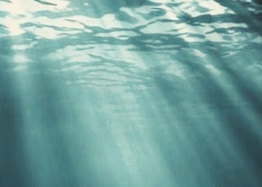 Missing card background image