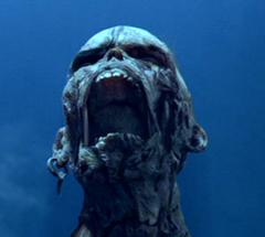 No matching image available.