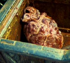 No matching image available.