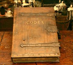 No matching image available.