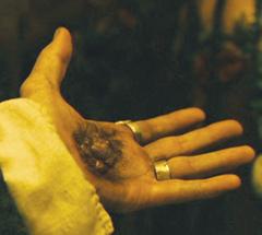 No matching image available.