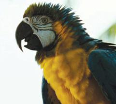 No matching image available.