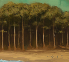 No matching image available.