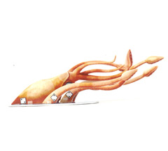 No matching image available.