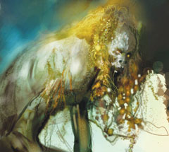 No matching image available.