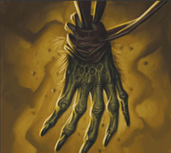 No matching image available.