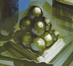 No matching image available.