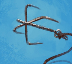 No matching image available.