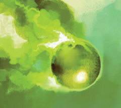 No matching image available.