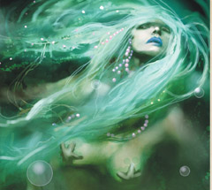 No matching image available.