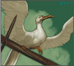 No matching image available.