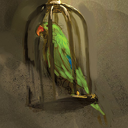 No matching image available.