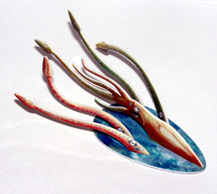 No matching image available.